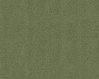 [1001111123_17] Tessera basis pro - 4201 sage